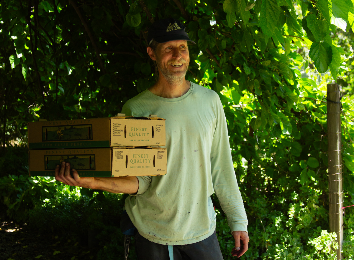 A Mulberry Farm Found on Craigslist