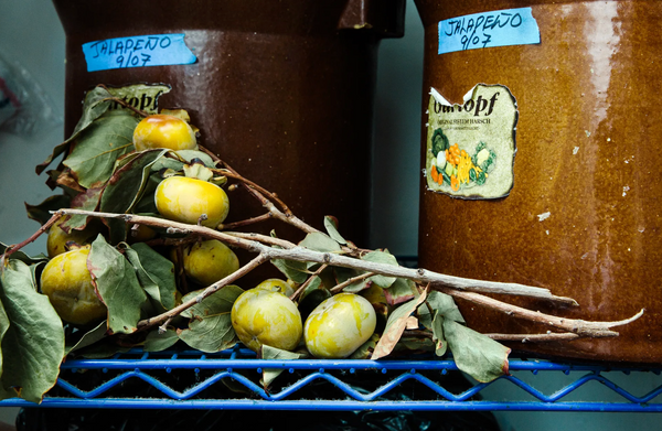 California Dreaming: Eater Reviews Sqirl