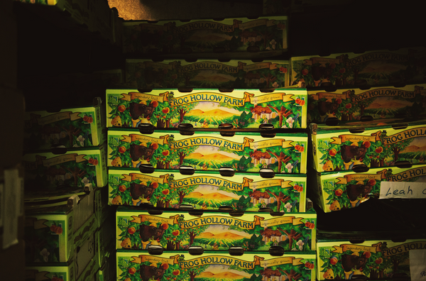 A Brief History of Plums in California