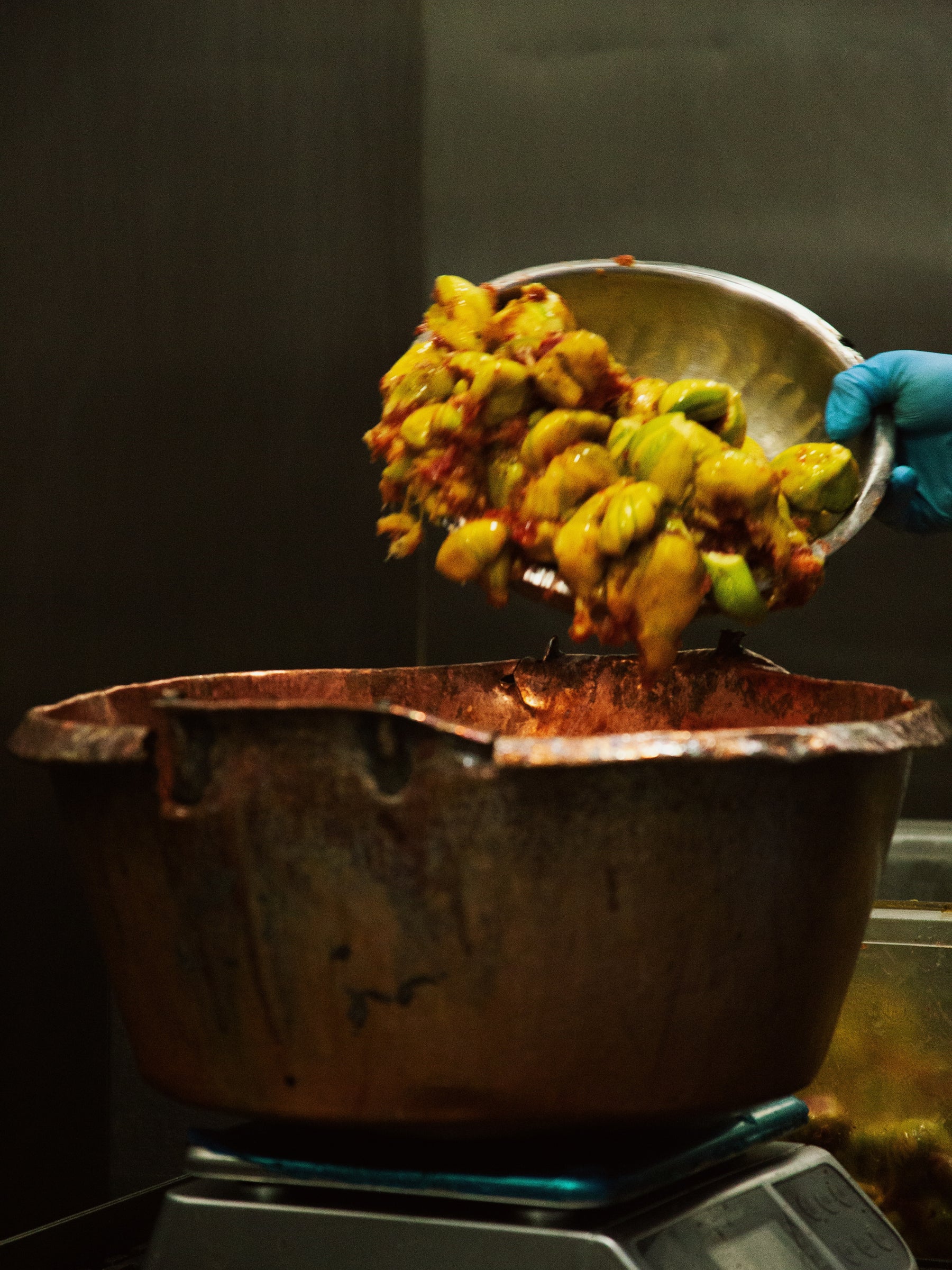 Dreamin' Man Candy Stripe Fig & Elderflower