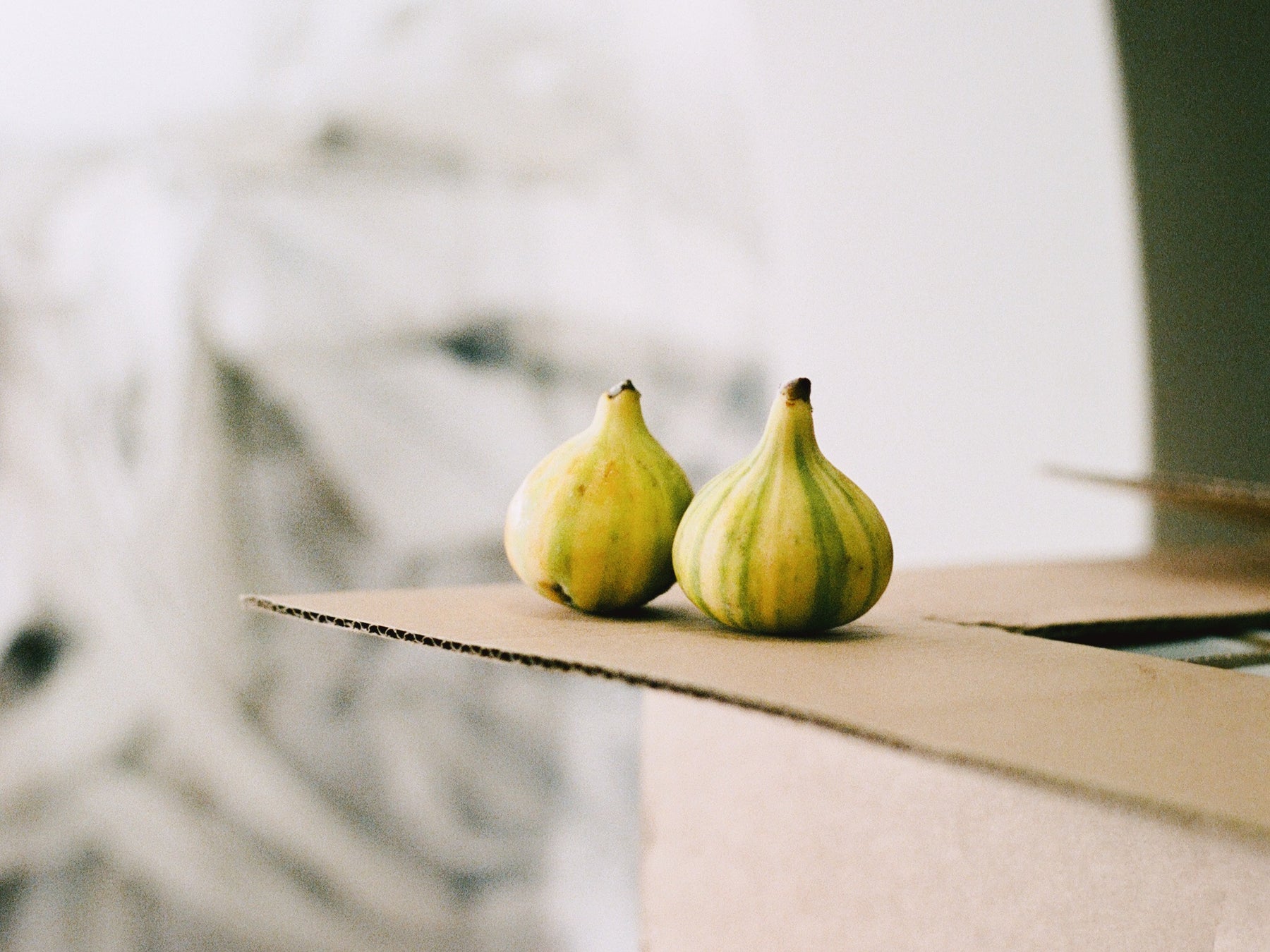 Dreamin' Man Candy Stripe Fig & Elderflower