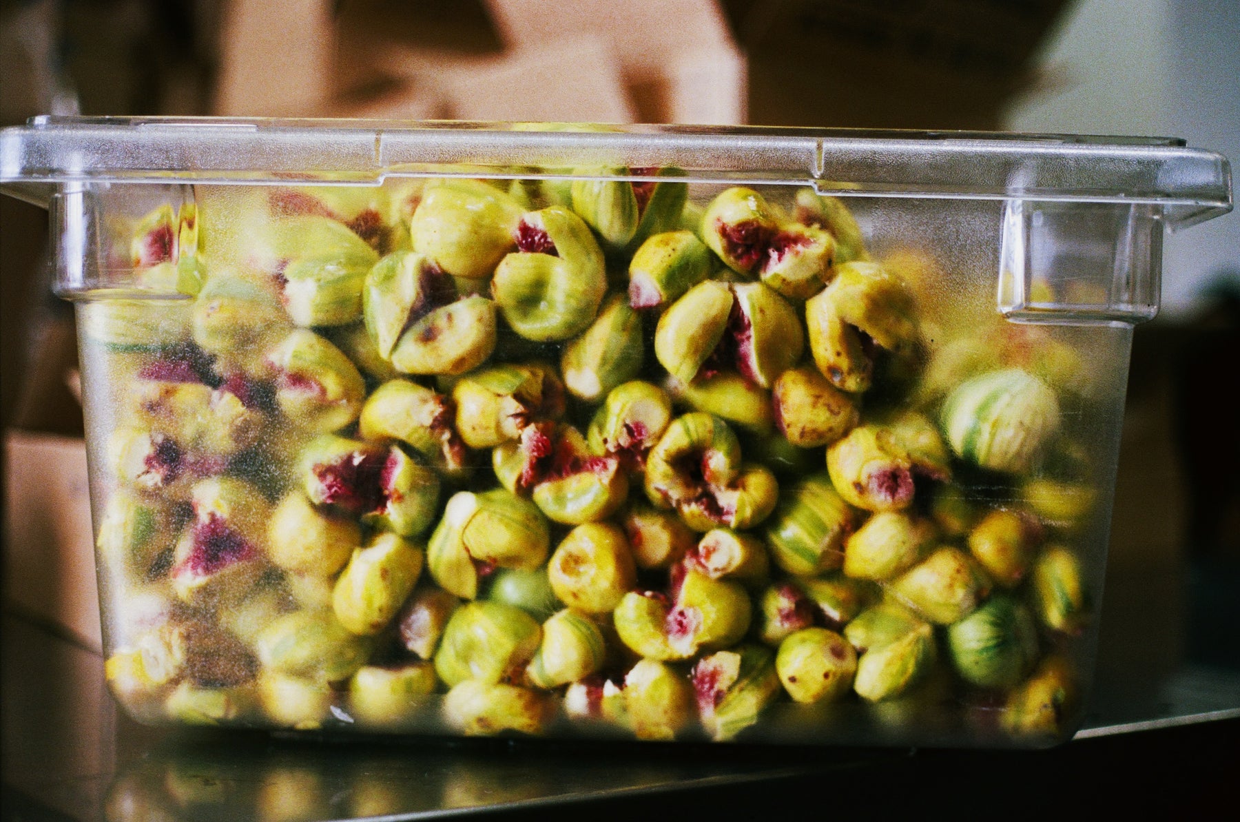 Dreamin' Man Candy Stripe Fig & Elderflower