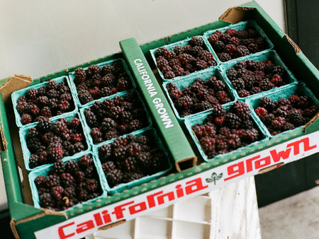 Certified Organic Boysenberry Fruit Spread