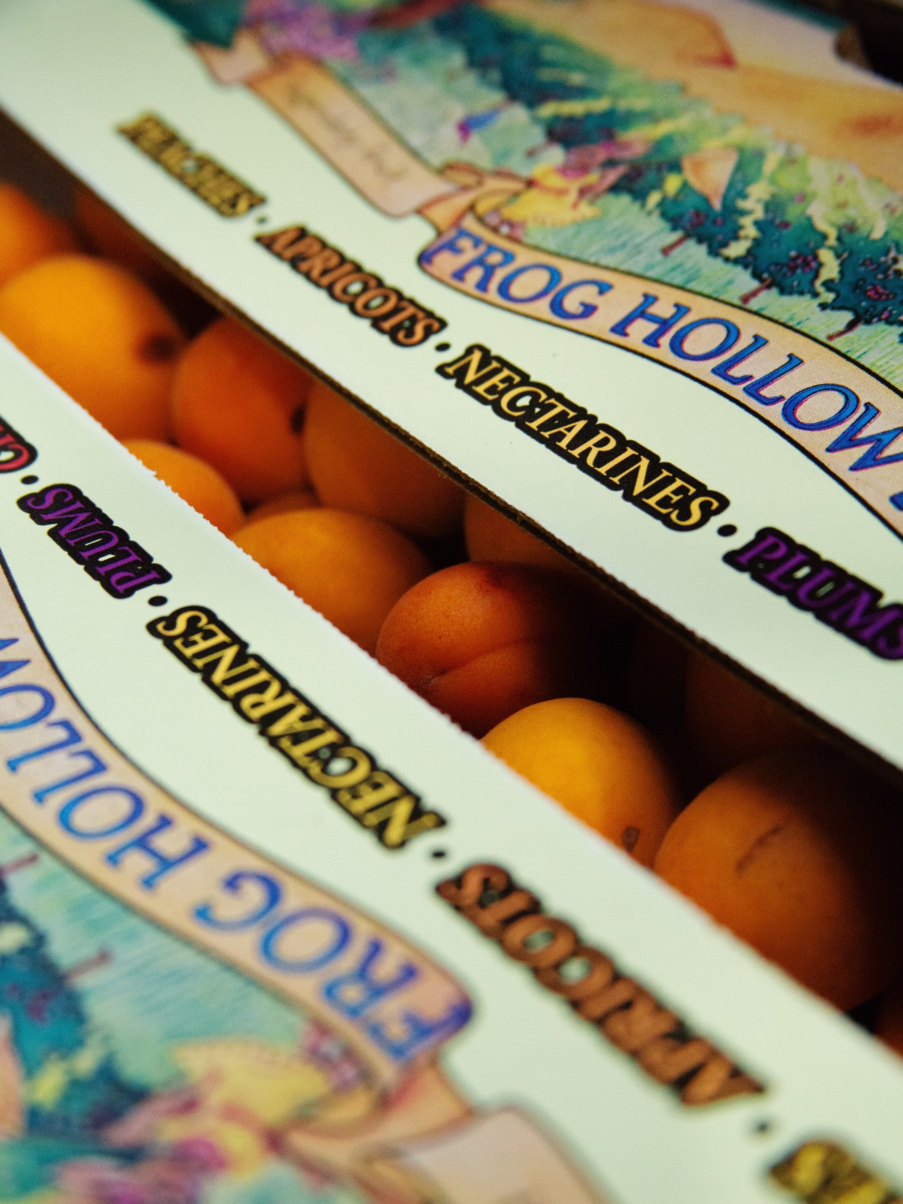 Kettl x Kettleman Apricot & Soba Cha Fruit Spread