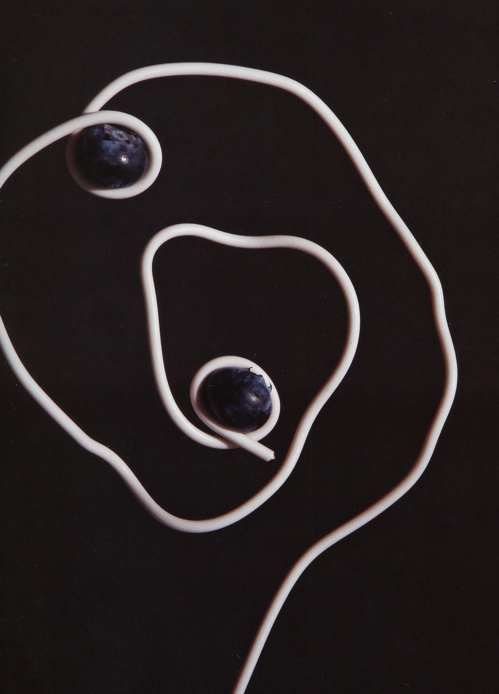 Blueberry & Tarragon