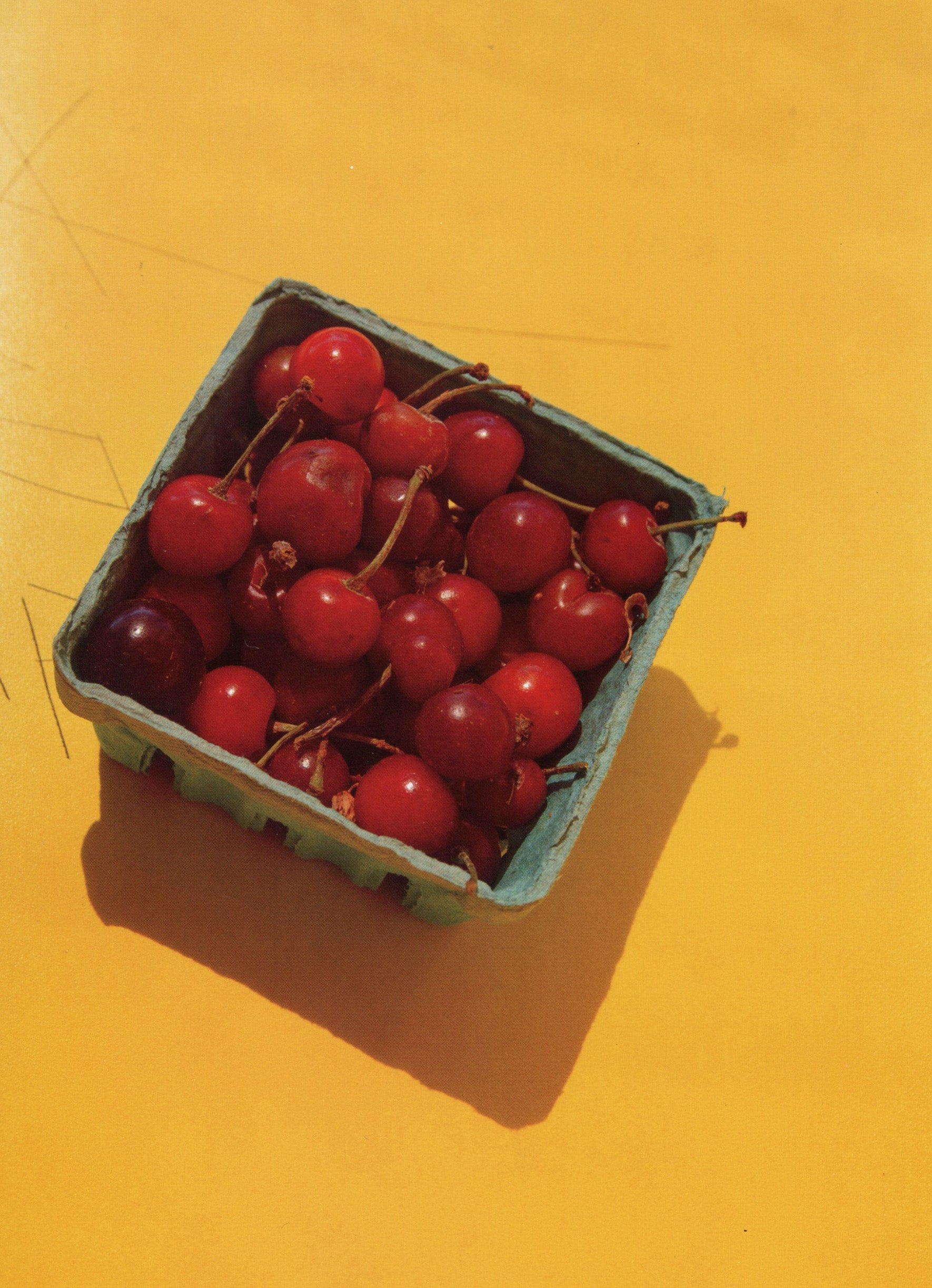 Bing Cherry Fruit Spread