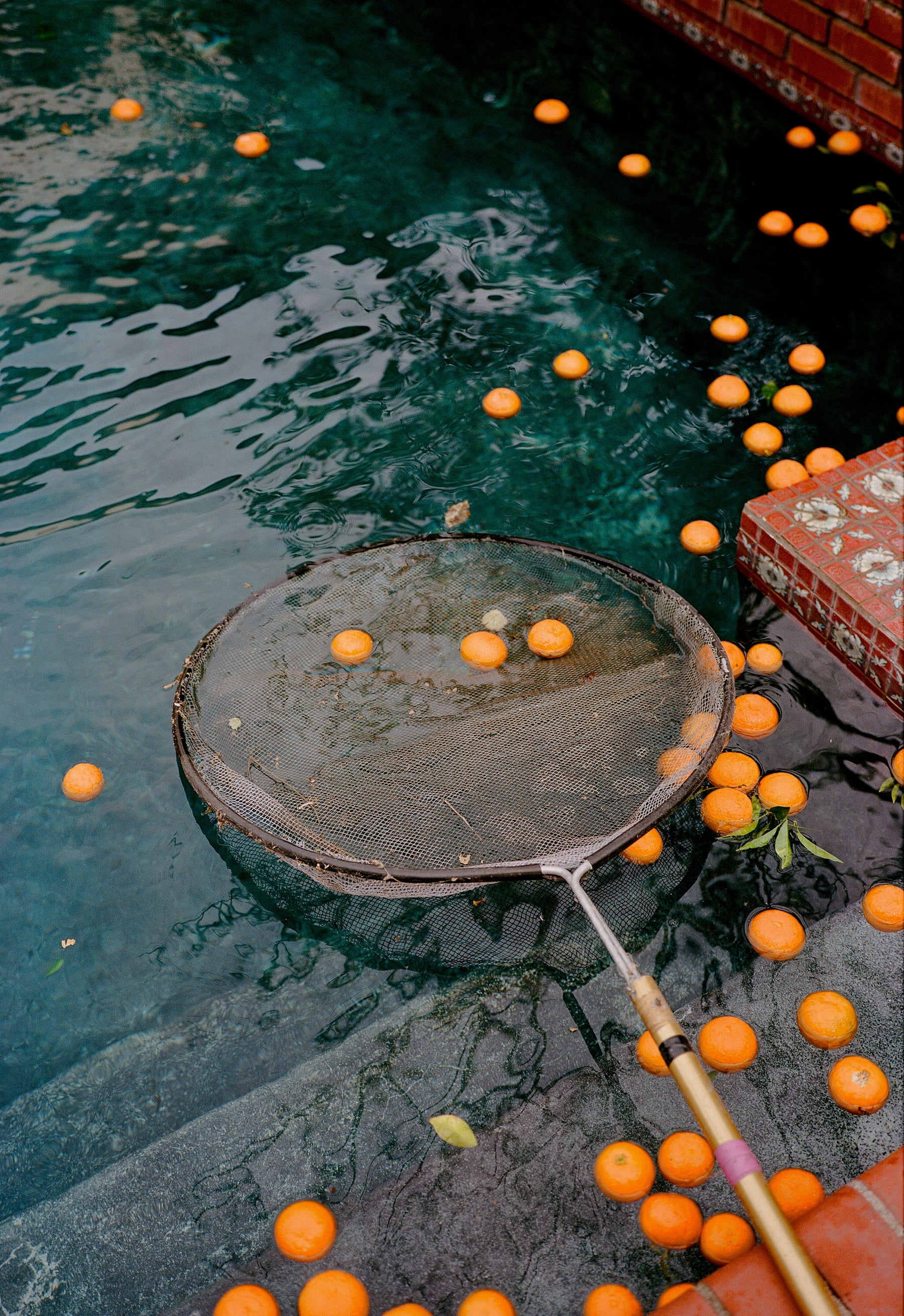 Seville Orange Marmalade