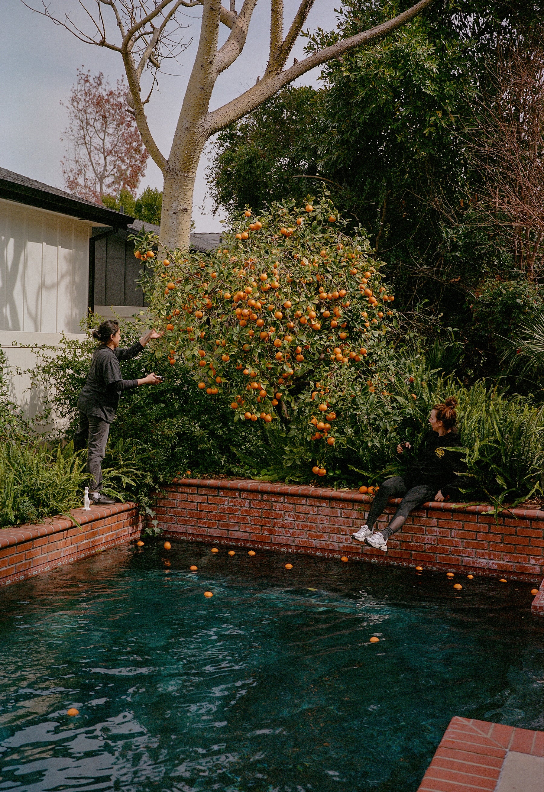 Seville Orange Marmalade