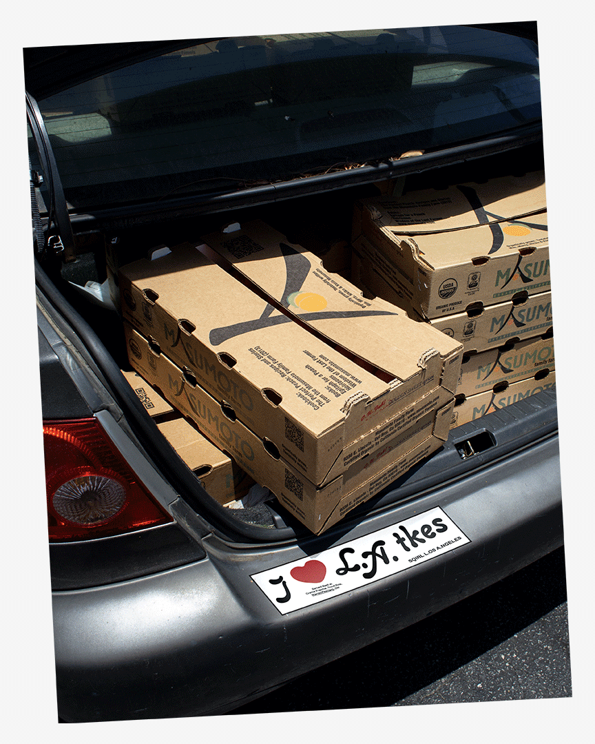 Hanukkah Latkes ~ December 23 to January 2nd