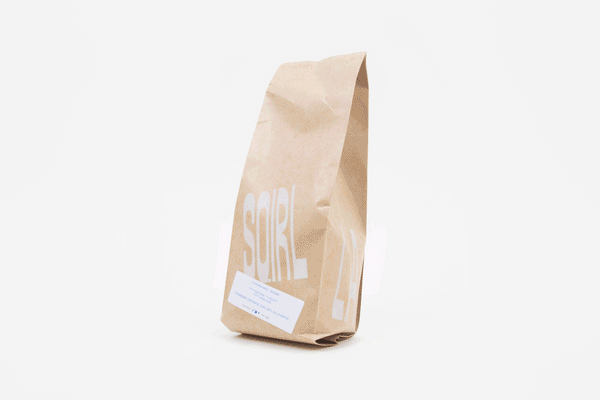 Sqirl Coffee -  Organic Guatemala Huehuetenango